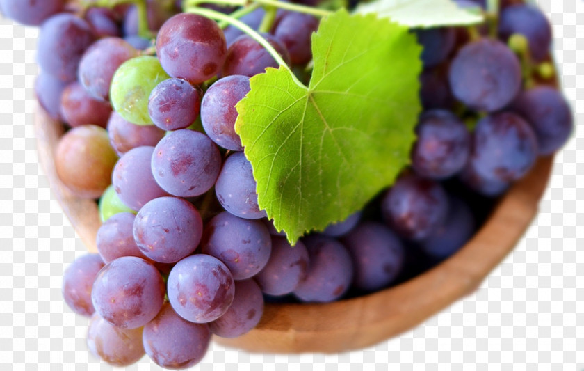 Free Creative Pull Harvest Grapes Common Grape Vine Berry Food Wallpaper PNG