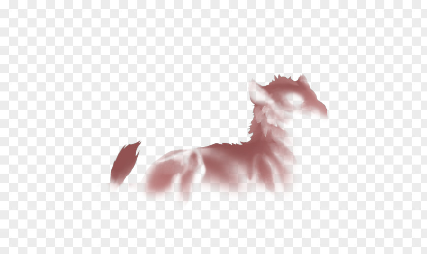 Pride Of Lions Whiskers Kitten Dog Snout Paw PNG