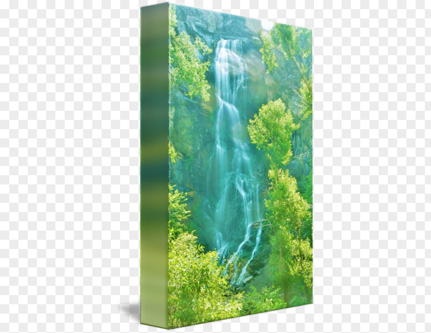 Bridal Veil Nature Reserve Water Resources Biome Waterfall Vegetation PNG