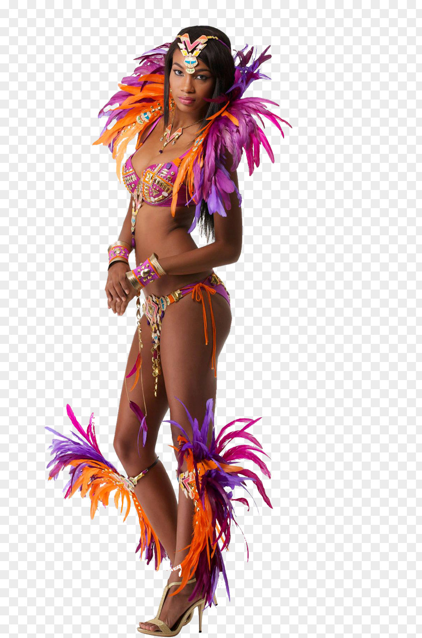 Carnival In Rio De Janeiro Costume Woman PNG
