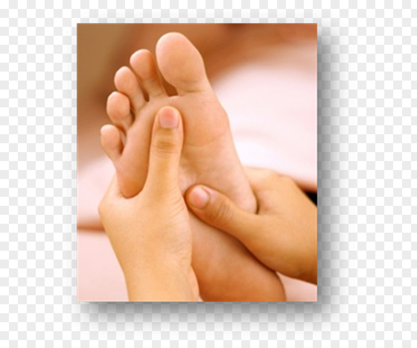 Foot Therapeutic Reflexology: A Step-by-step Guide To Professional Competence Massage Therapy PNG