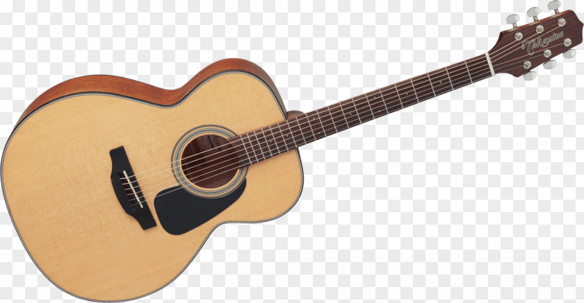 Guitar Steel-string Acoustic Dreadnought Takamine Guitars PNG