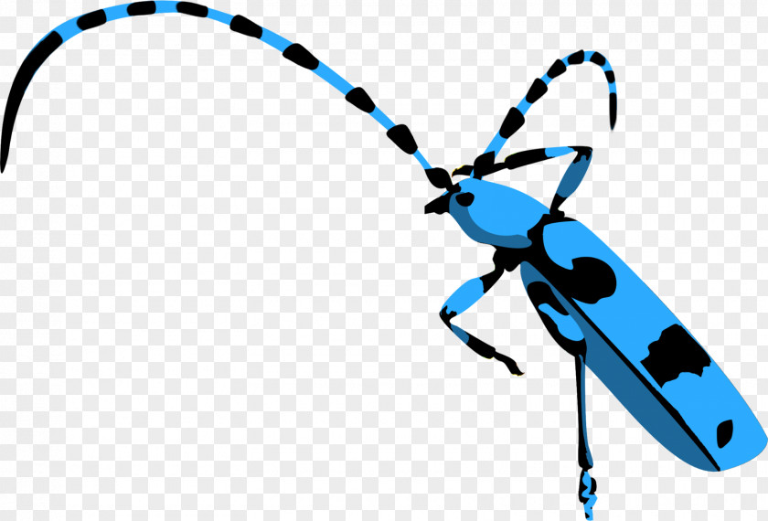 Insect Technology Clip Art PNG