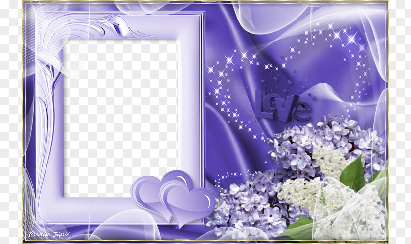 Pretty Purple Frame Picture Photography PNG