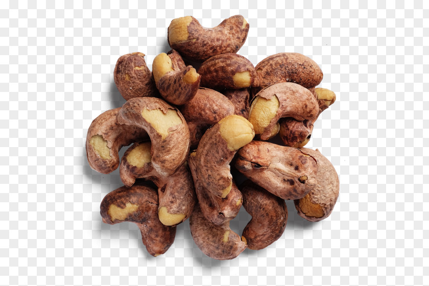 Tree Mixed Nuts Nut Allergy Superfood PNG