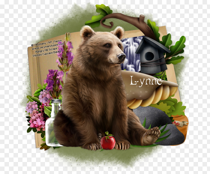 Bear Grizzly Terrestrial Animal Snout PNG