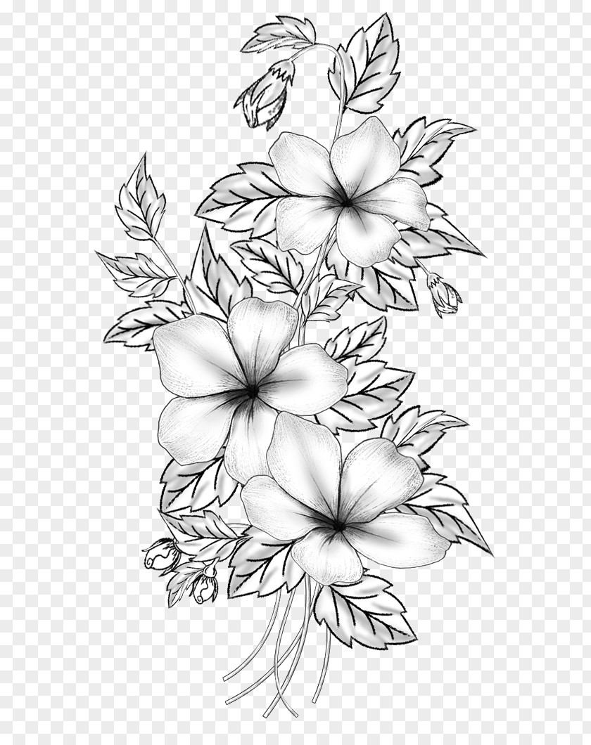 Floral Design Cut Flowers Drawing Branch /m/02csf PNG