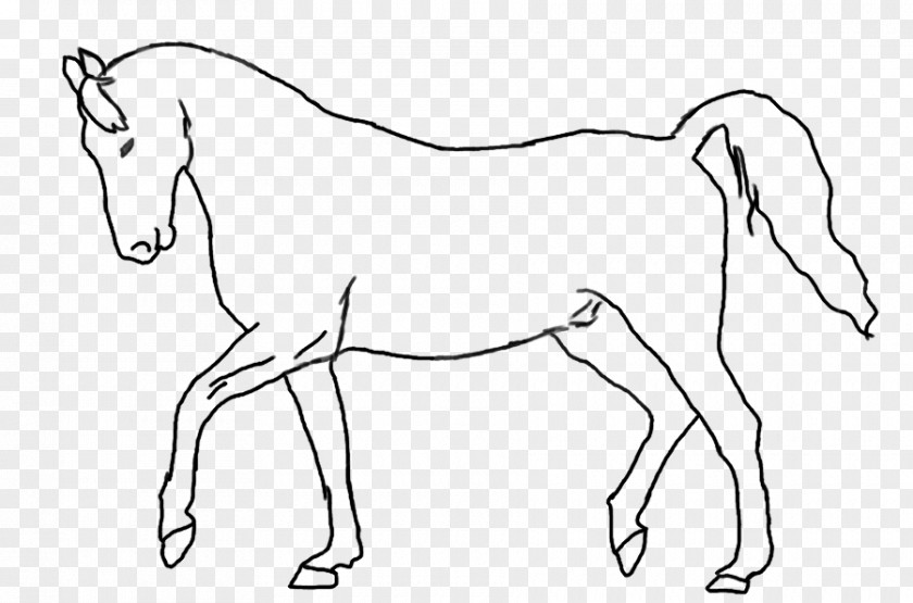 Mustang Mane Mule Foal Stallion Colt PNG