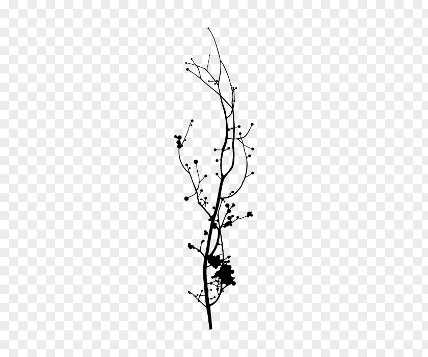 Rama Branch Tree Twig Woody Plant Leaf PNG