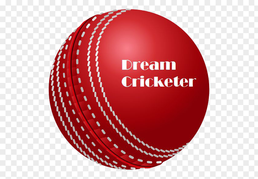 Cricket Tournament Balls Delhi Daredevils Batting PNG