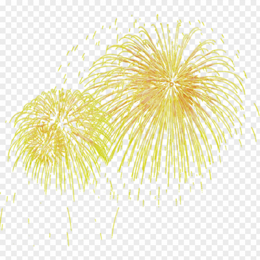 Fireworks Toutiao Gratis Festival Event G PNG
