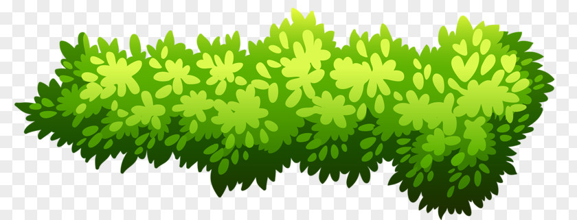 Green Bush Shrub Illustration PNG