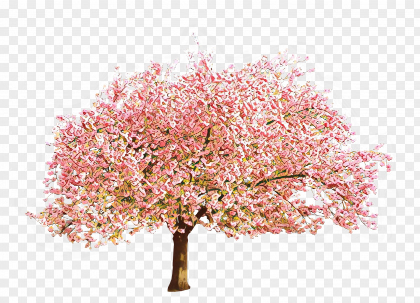 Twig Shrub Cherry Blossom Tree PNG