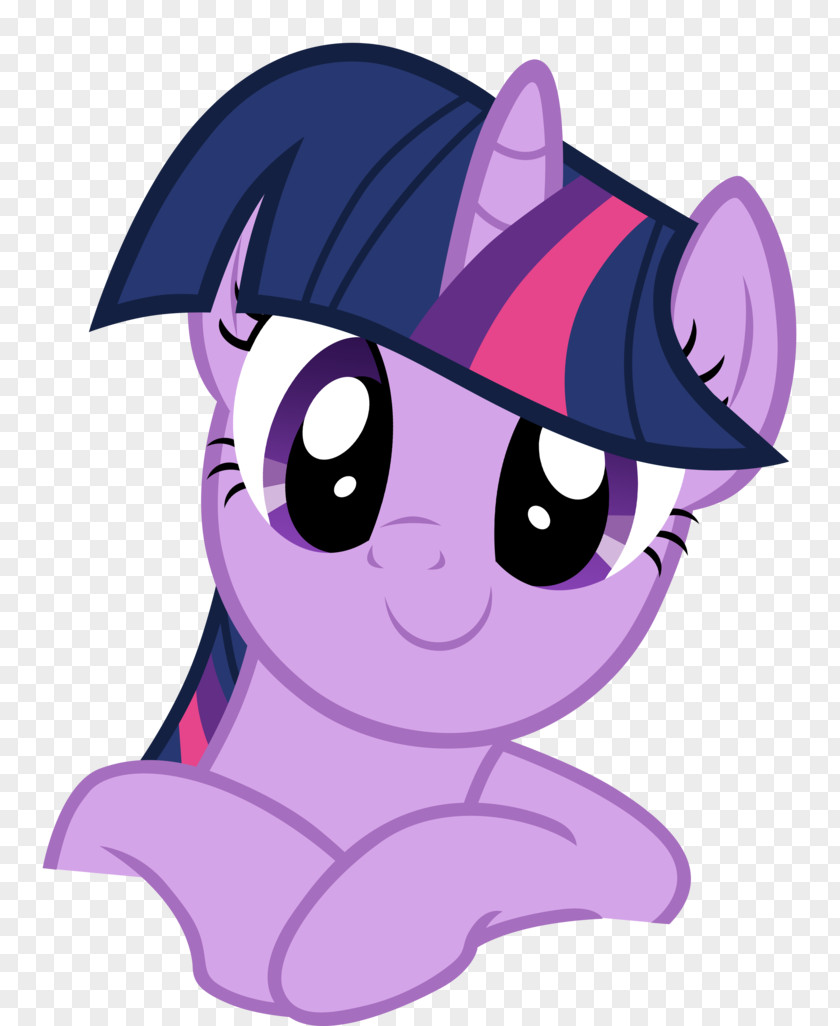 Twilight Sparkle Rainbow Dash Rarity Applejack Pinkie Pie PNG