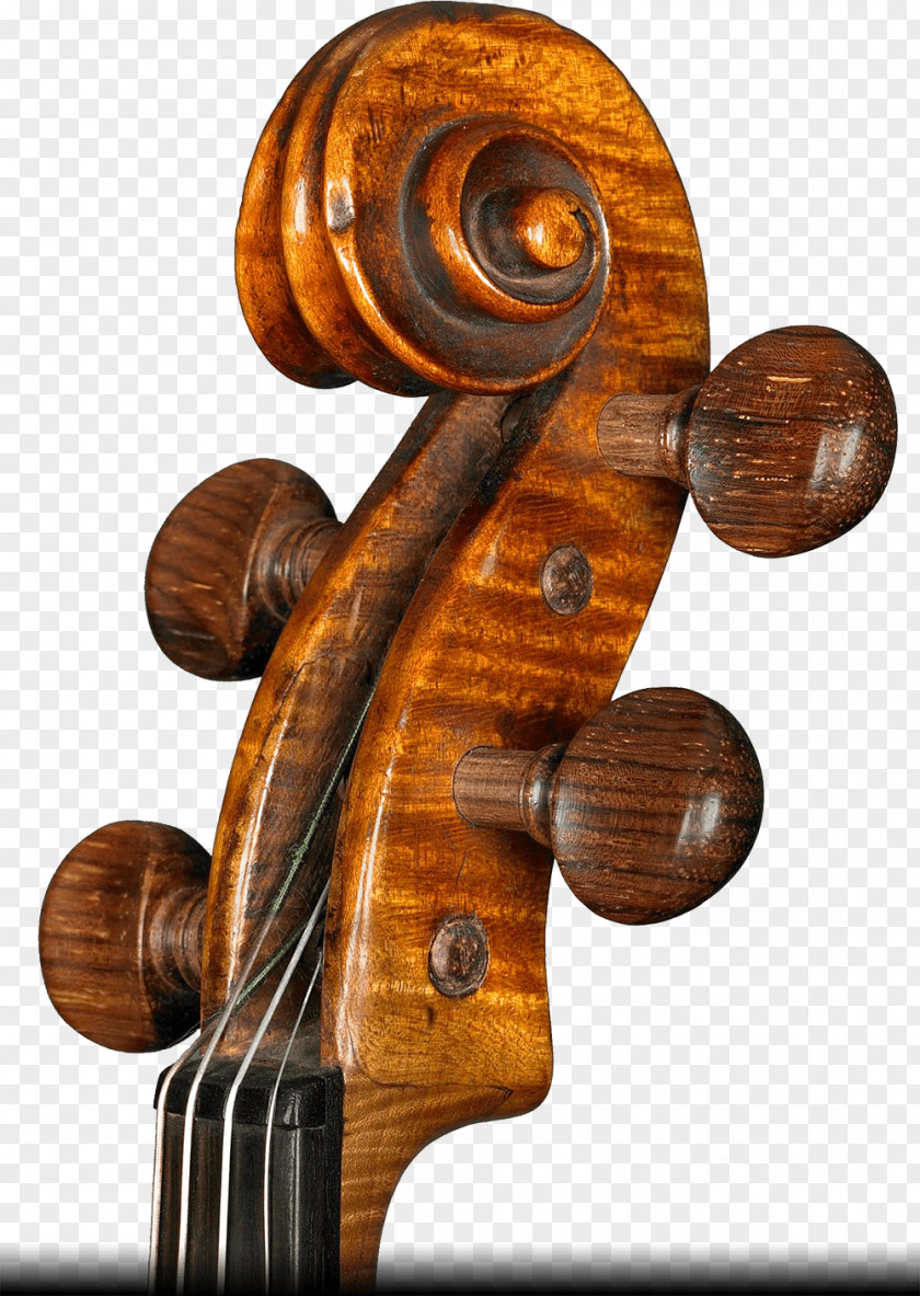 Violin Violone Cello Alessandro Ciciliati Viola PNG