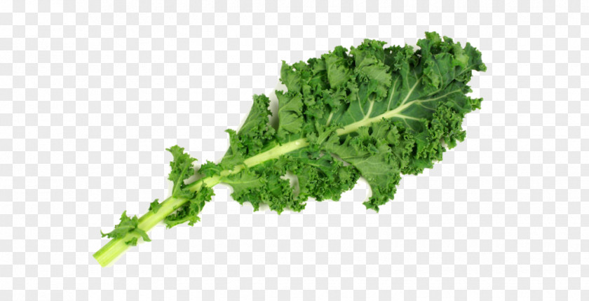 Broccoli Lacinato Kale Collard Greens Spring Leaf PNG