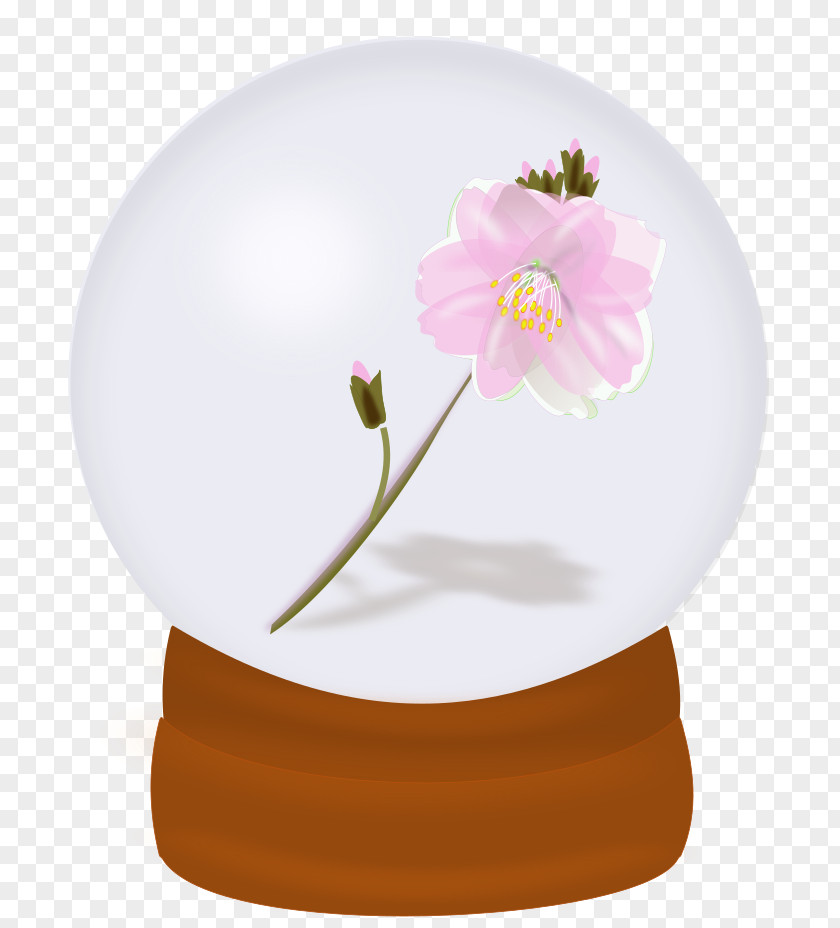 Crystal Ball Of Pink Flowers Euclidean Vector Glass Clip Art PNG