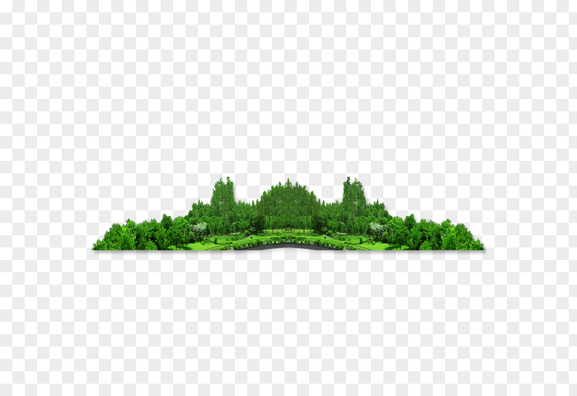 Forest Download Icon PNG