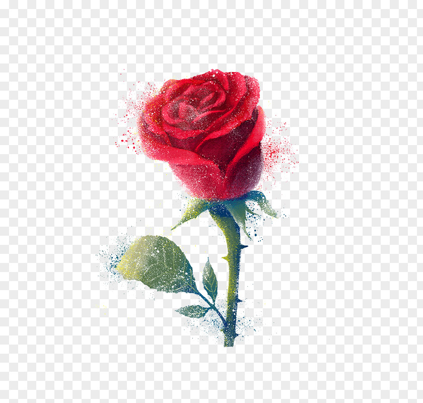 Fresh Roses Samsung Galaxy Note Photographic Film Schermo PNG