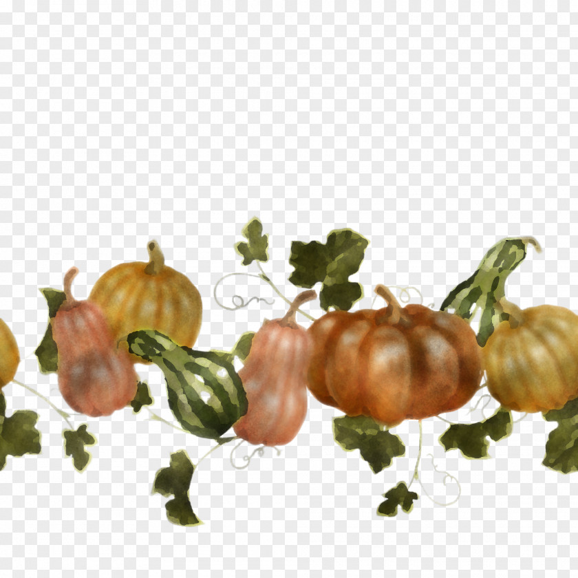 Fruit Pumpkin PNG