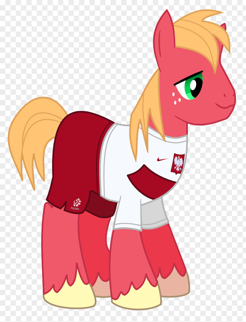 Horse Pony Applejack Rarity Poland Twilight Sparkle PNG