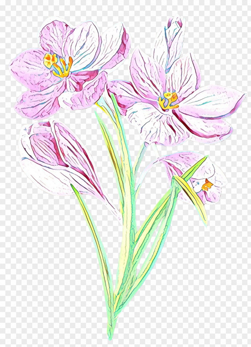 /m/02csf Cut Flowers Drawing Plant Stem Illustration PNG