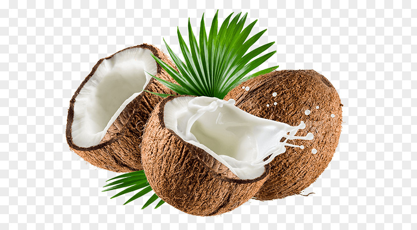 Milk Coconut Powder Organic Food Water PNG