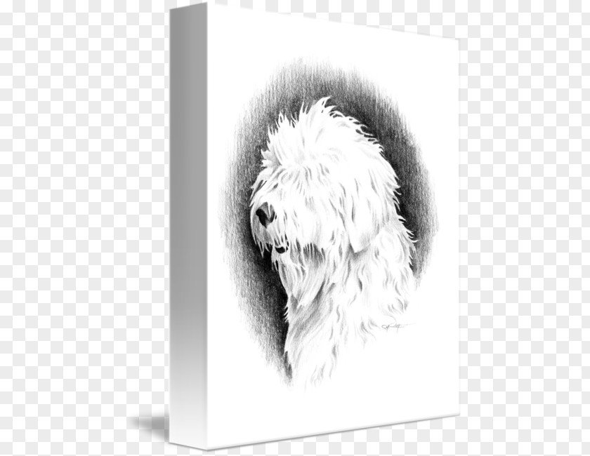 Old English Sheepdog Dog Breed Puppy German Shepherd Sketch PNG