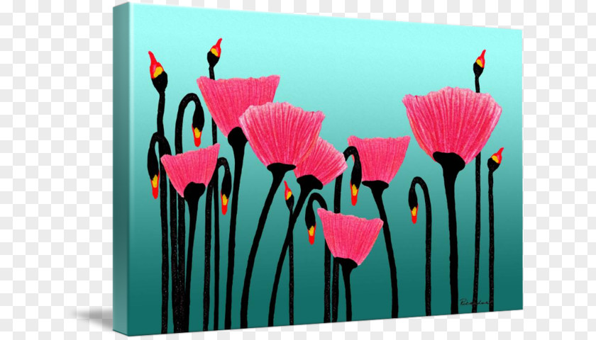 Poppy Field Petal Floral Design Pink M Flowering Plant PNG