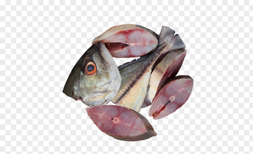 Fish Cod Products Mackerel Oily PNG
