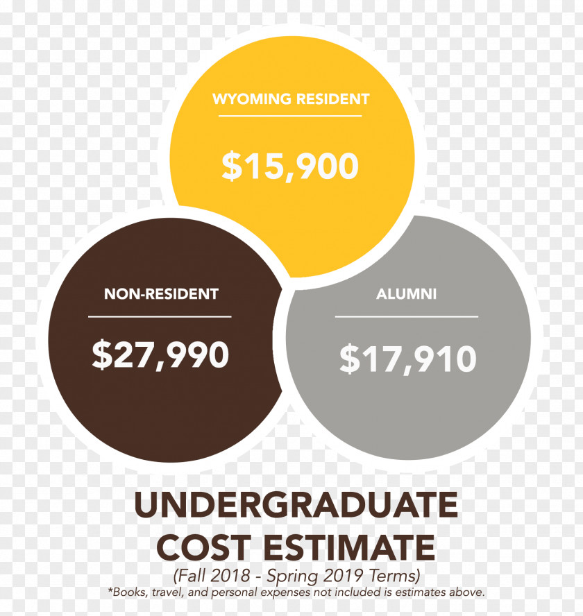 Student Stephen F. Austin State University Financial Aid Cost Of Attendance Tuition Payments PNG