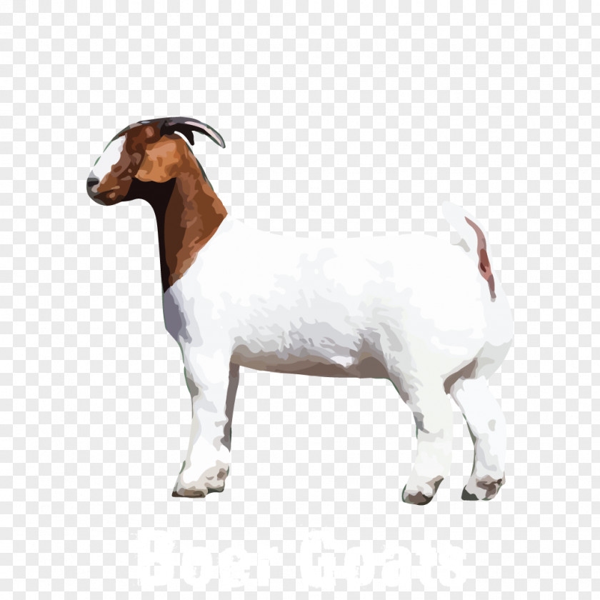 Goat Cattle Animal Snout PNG