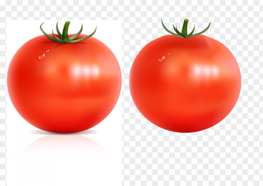 Illustrator Brushes Food Vegetable Fruit Plum Tomato PNG