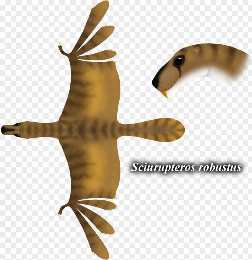 Pterosaur Carnivores Artist Pterosaurs DeviantArt PNG