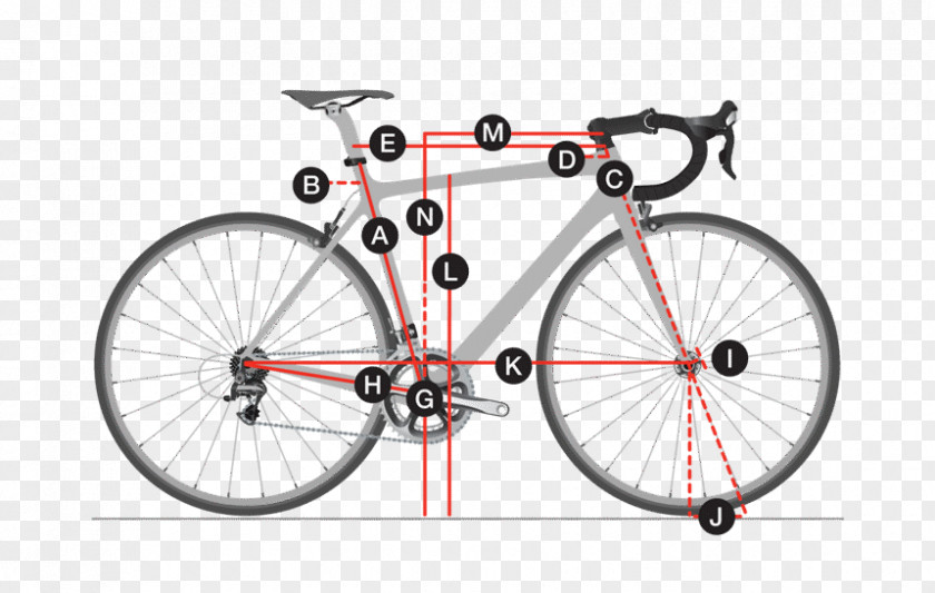 Road Race Bicycle Wheels Trek Corporation Geometry Frames PNG