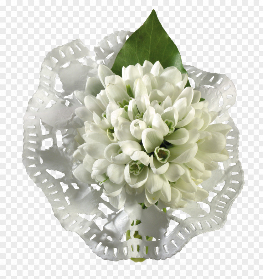 Flower Snowdrop Clip Art Photography PNG