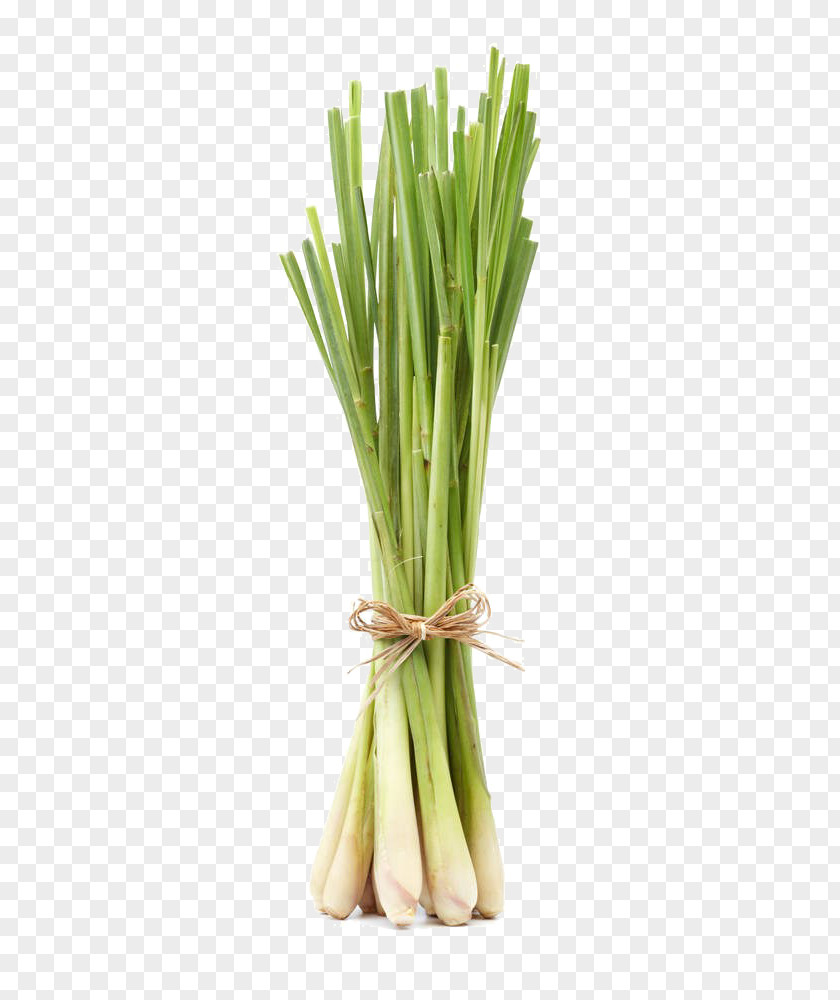 Lemon Grass Free Download Lemongrass Asian Cuisine Herb Flavor PNG