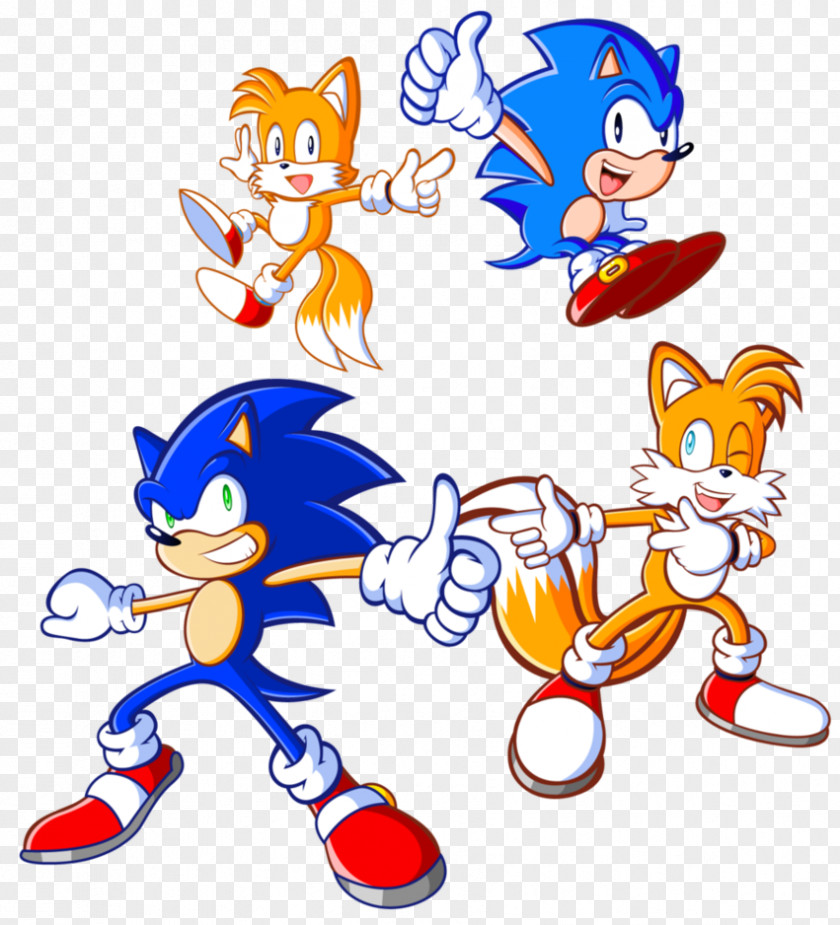 Sonic The Hedgehog Chaos & Knuckles Tails CD Echidna PNG