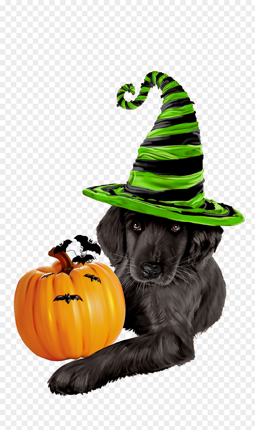 Jackolantern Holiday Halloween Witch Hat PNG