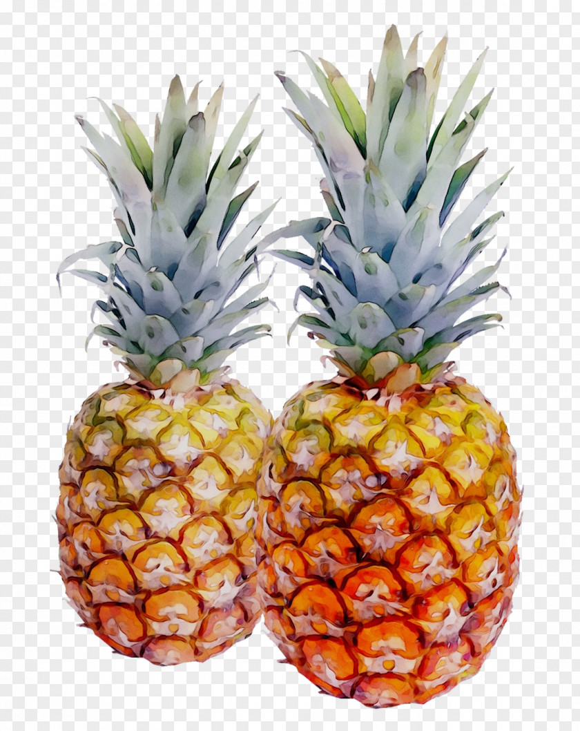 Pineapple Transparency Image Clip Art PNG