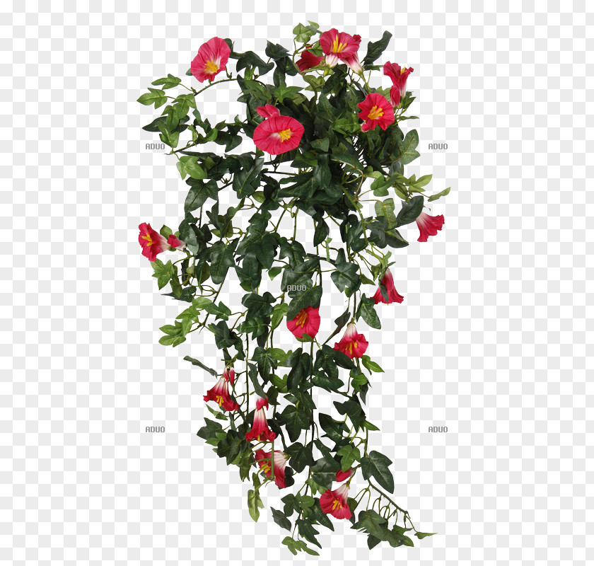 Sange Garden Roses Cut Flowers Plant Vine PNG