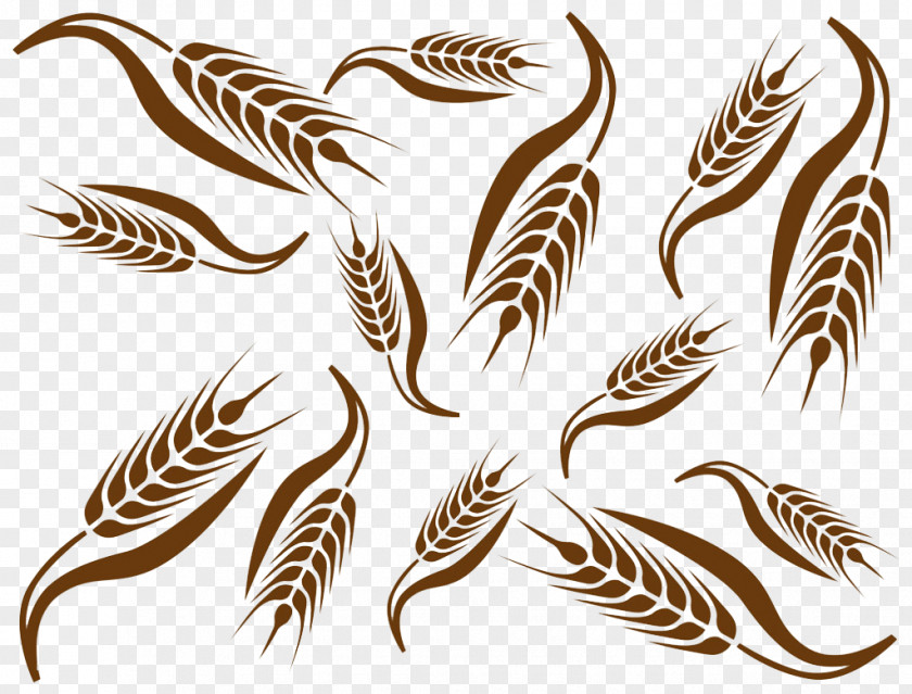 Variety Of Wheat Common Ear Cereal Clip Art PNG