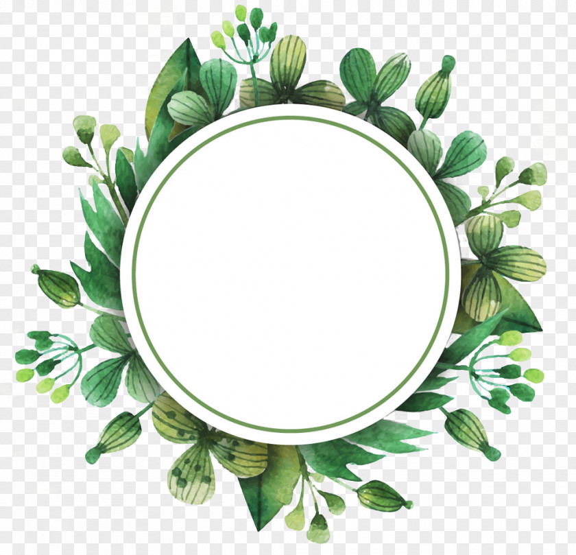 Watercolor Border PNG