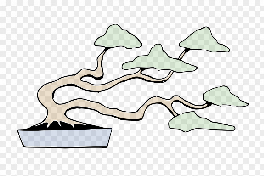 Bonsai Trees National Foundation Styles Tree Trunk PNG