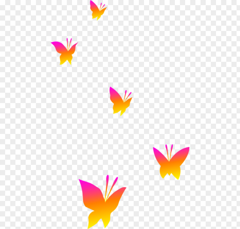 Butterfly Desktop Wallpaper Clip Art PNG