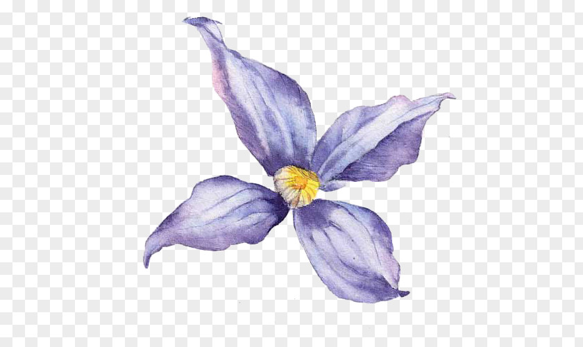 Hand-painted Purple Delphinium Flower Vecteur PNG