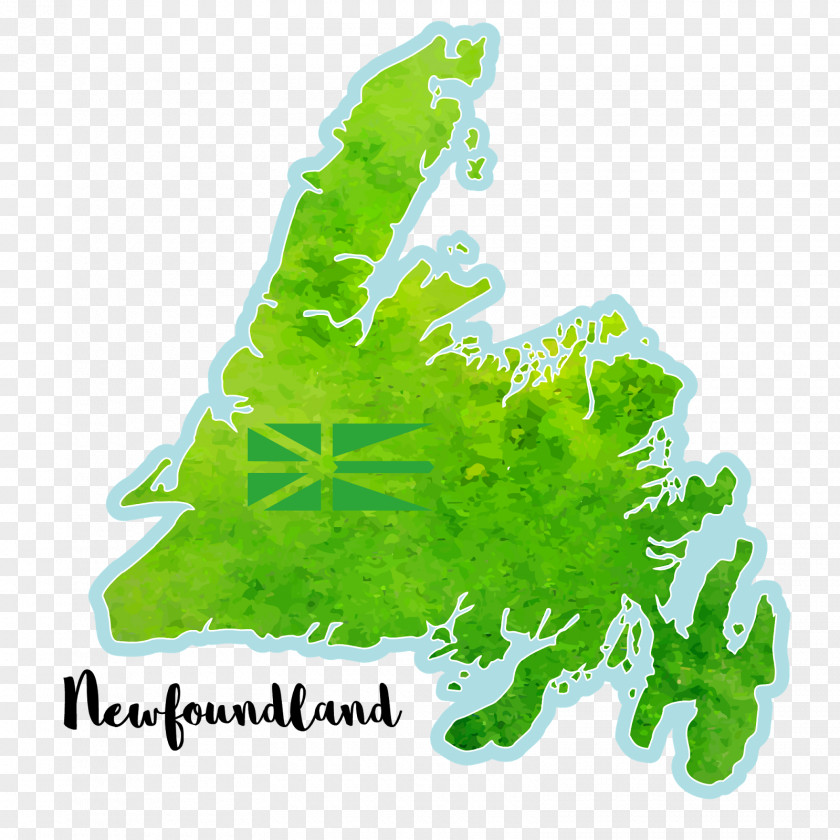 Leaf Newfoundland And Labrador Tree Font PNG