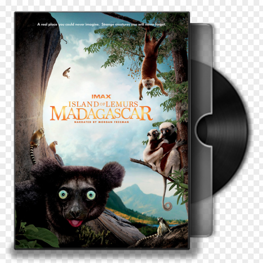 Lemurs Of Madagascar Documentary Film Blu-ray Disc PNG