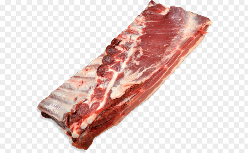 Pork Ham Spare Ribs Bacon Meat PNG