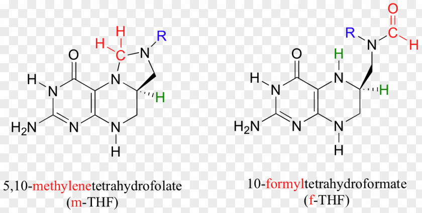 Sacramento Valley Functional Group Aldehyde Chemical Reaction 10-Formyltetrahydrofolate Anion PNG